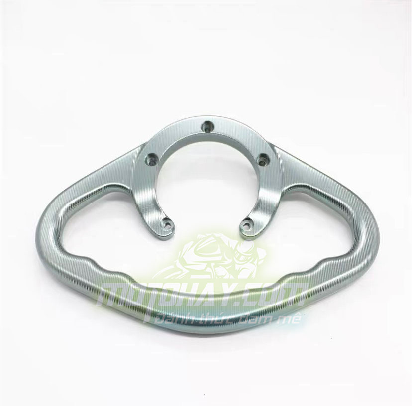 tay-nam-binh-xang-z800-ghi