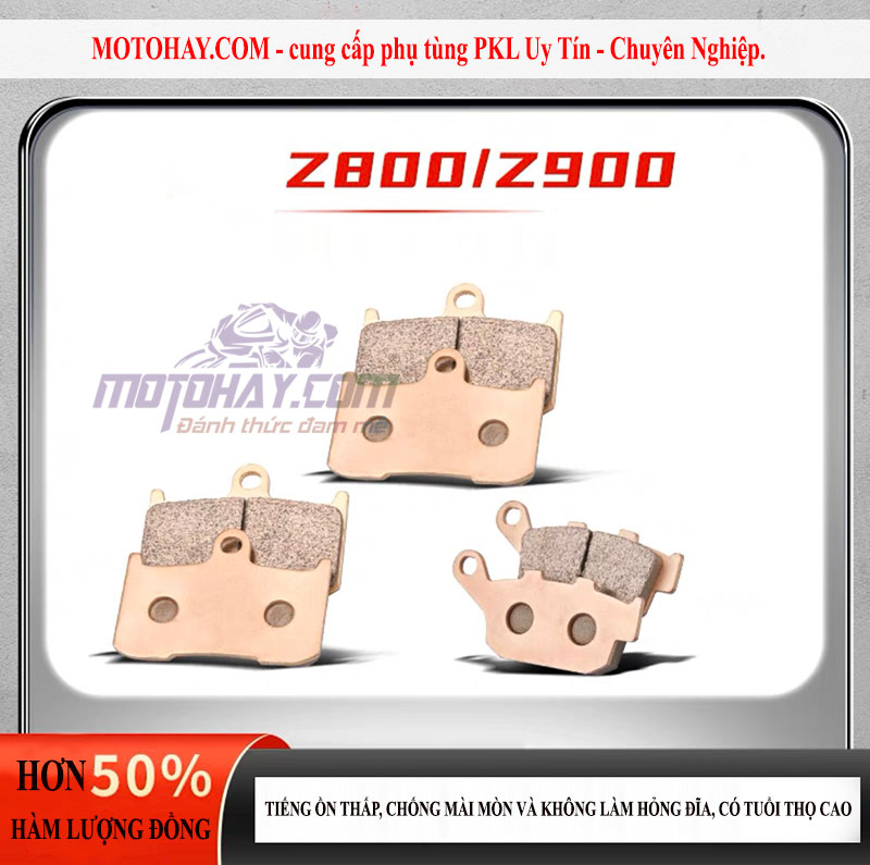 ma-phanh-truoc-sau-z800-z900