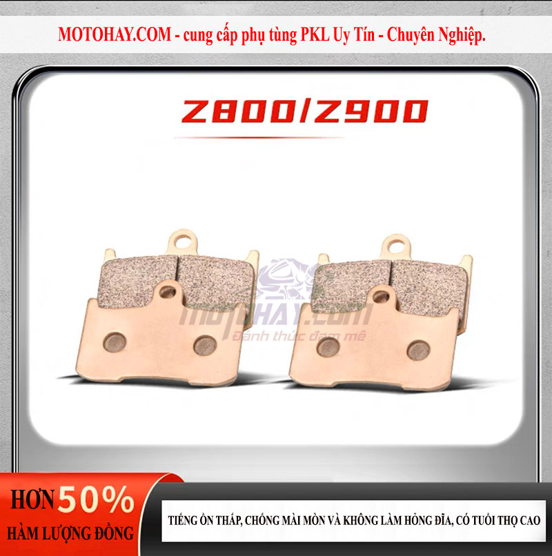 ma-phanh-truoc-z800-z900